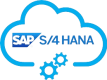 sap-hana-removebg-preview